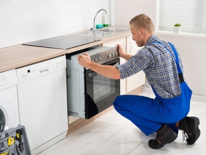 Webp.net resizeimage 2 300x227 1